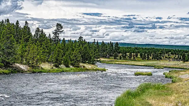 The Firehole River in Yellowstone National Park.