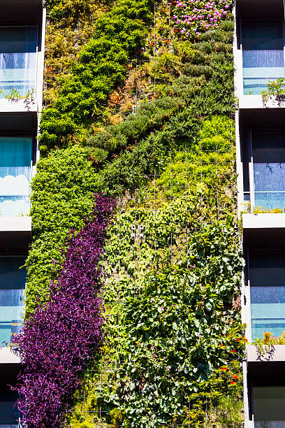 istock Vertical garden - green wall on residential building 485446371