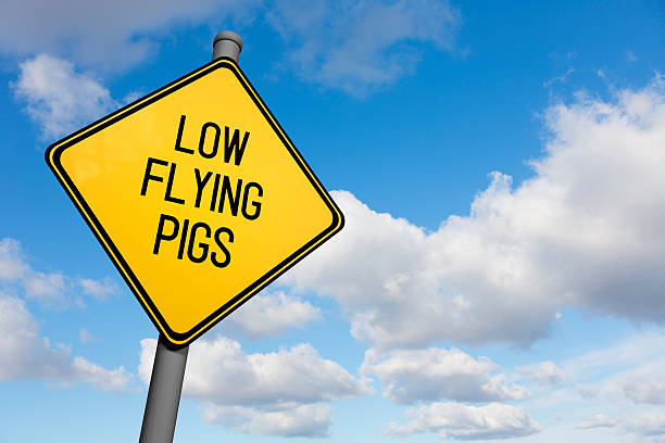 sinal de estrada-baixa voando suínos - when pigs fly - fotografias e filmes do acervo
