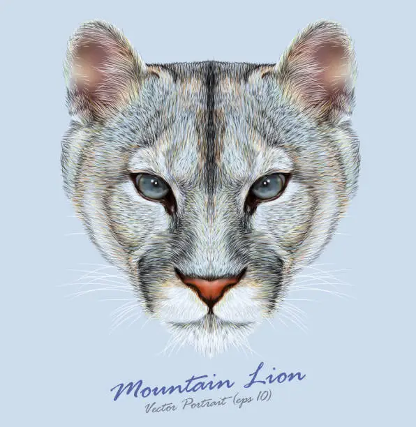 Vector illustration of Vector Portrait of a Mountain Lion on Blue background