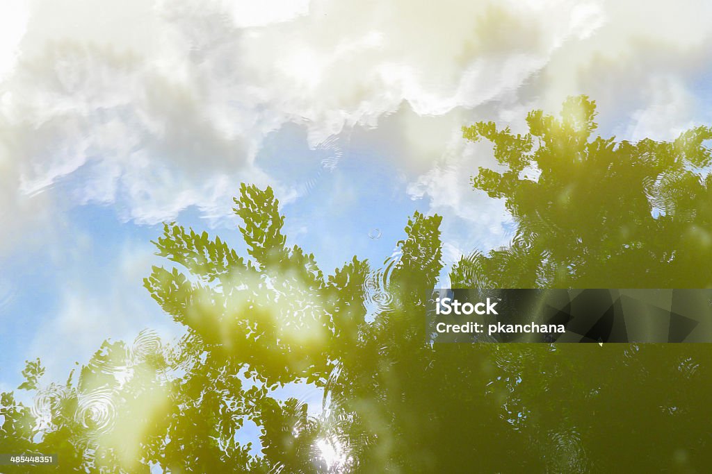 Wasser Reflexion von blauen Himmel und die Blätter der Pflanzen. - Lizenzfrei Abstrakt Stock-Foto
