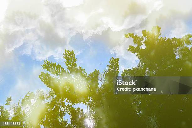 Wasser Reflexion Von Blauen Himmel Und Die Blätter Der Pflanzen Stockfoto und mehr Bilder von Abstrakt