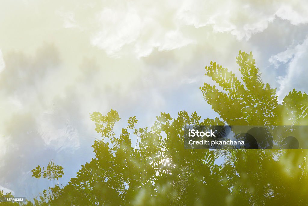 Agua reflejo de cielo azul y las hojas. - Foto de stock de Abstracto libre de derechos