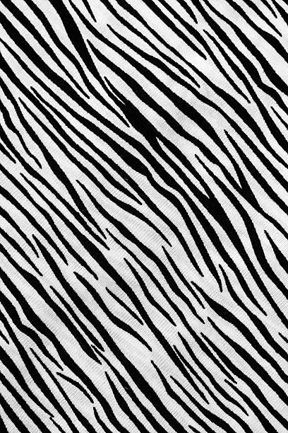 Zebra Print Cloth Stock Photo - Download Image Now - Abstract