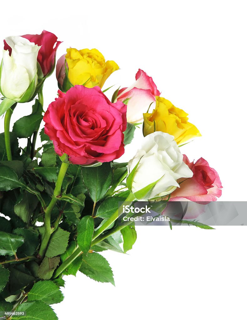 bouquet de rosa - Royalty-free Amarelo Foto de stock