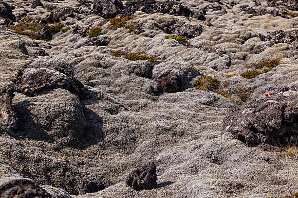 istock Iceland lava field covered with moss 485455376