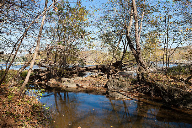 istock Potomac River in the Autumn 485456316