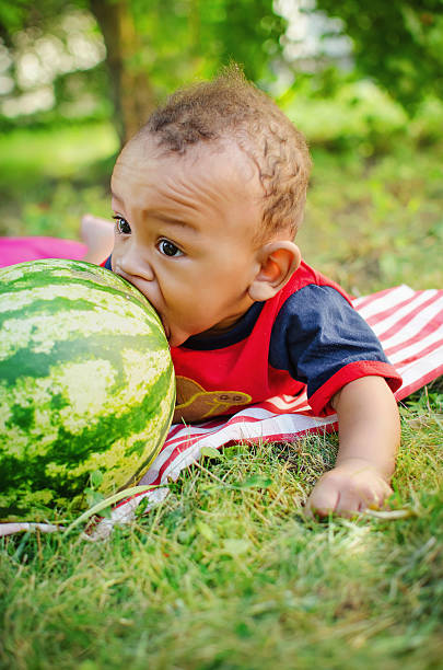 little boy biting watermelon little black boy bites the big green watermelon black man eating watermelon stock pictures, royalty-free photos & images