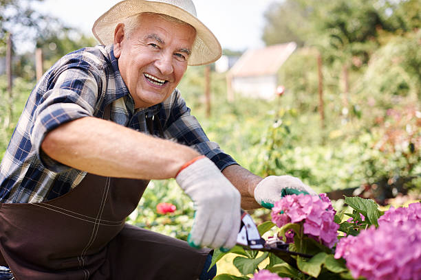 妻のために花を切る - gardening ストックフォトと画像