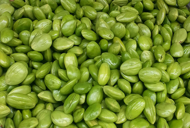 istock Parkia speciosa 485464558