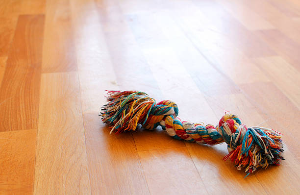 Colorful puppy dog toy on the floor stock photo