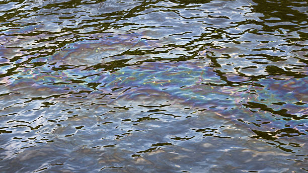 istock gasoline slick on the water 485465660