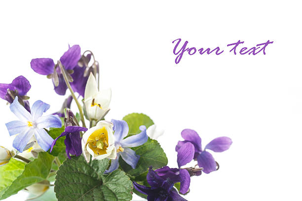 beautiful bouquet of spring flowers on a white background
