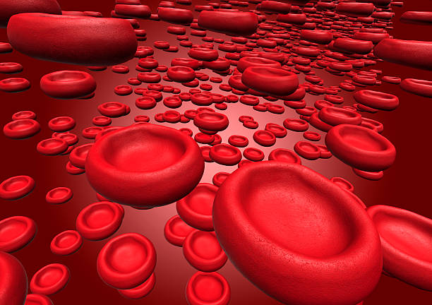 istock red bloodcells flowing throw an artery 485469940