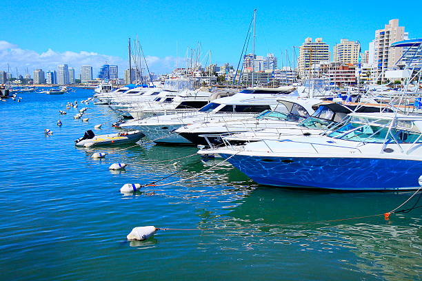Punta Del Este Marina and yachts city panorama, Uruguay!
