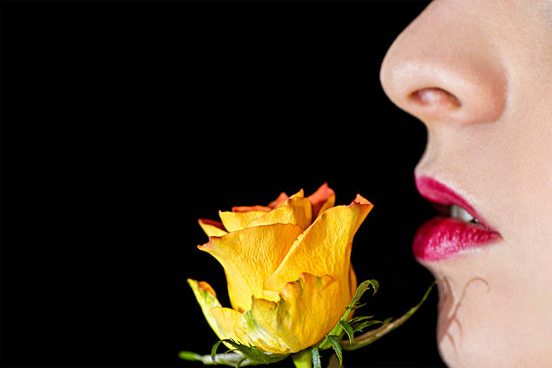 istock Woman With Fresh Yellow Rose 485472935