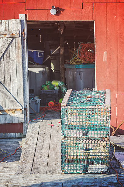 istock Fishing Shack on Wharf 485473863