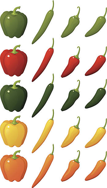 ilustrações, clipart, desenhos animados e ícones de sortimento de pimenta - vegies green chili pepper pepper