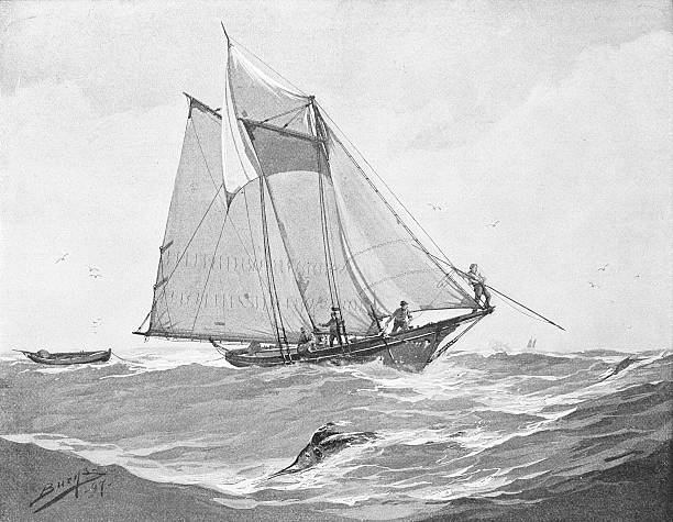 żeglarstwo w morze zgrubnej - engraving engraved image activity nautical vessel stock illustrations