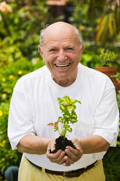 istock Senior Man Gardening 485475141