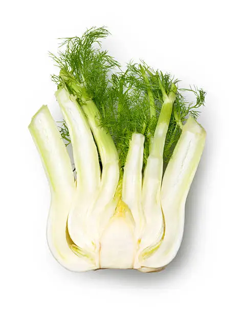 Photo of Fennel