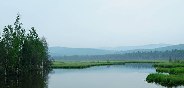 istock misty morning on the lake. early summer morning. 485480904