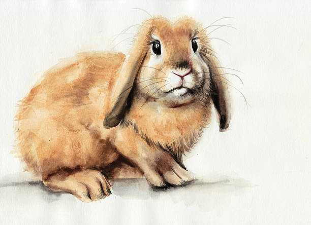 黄色の bunny 水彩画 - easter color image animal illustration and painting点のイラスト素材／クリップアート素材／マンガ素材／アイコン素材