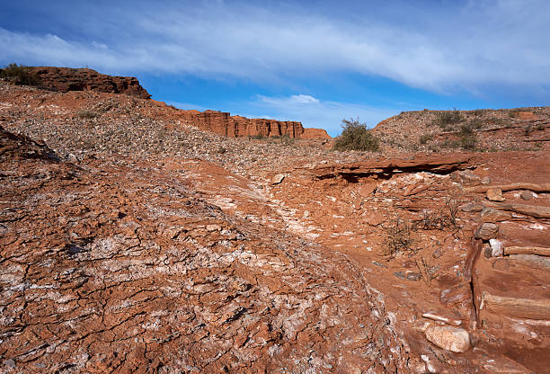 National Park "Sierra de las Quijadas" - Argentina National Park "Sierra de las Quijadas" - San Luis Province - Argentina barron gorge national park stock pictures, royalty-free photos & images