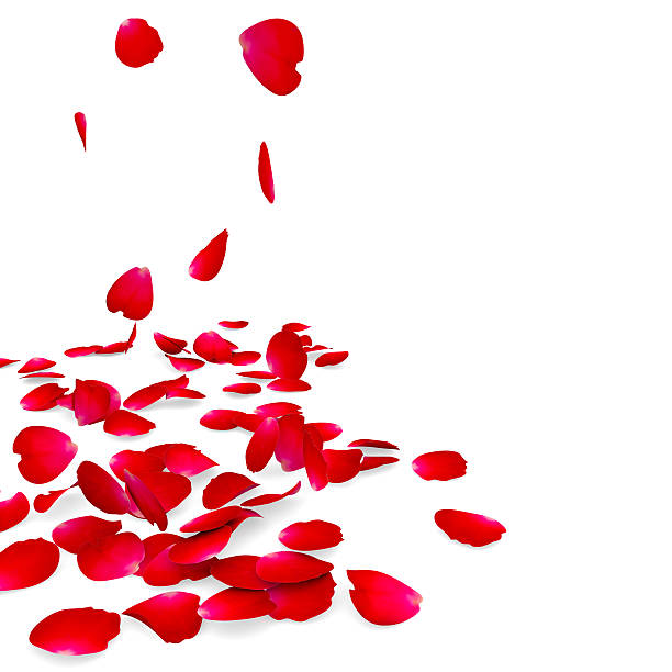 istock Petals of roses fall on a floor 485488119