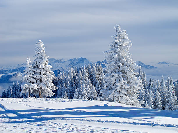 istock Winter in the alps 485489174