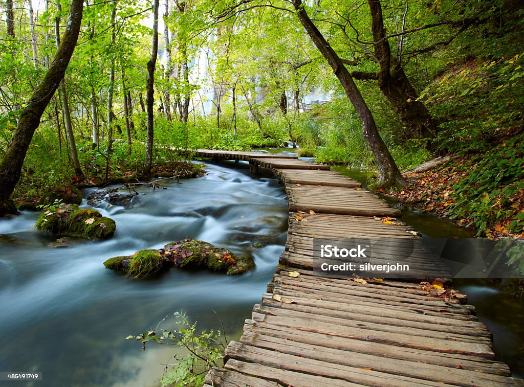 Boardwalk in the park Beauty In Nature Stock Photo