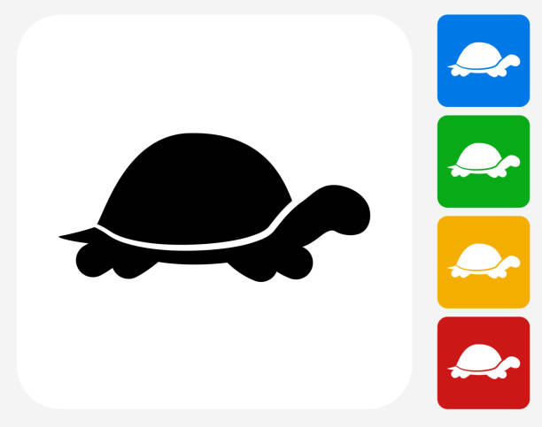 illustrazioni stock, clip art, cartoni animati e icone di tendenza di turtle icona piatto di design grafico - tartaruga