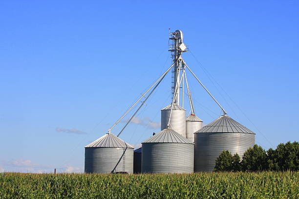 istock Grain Bins on a Northeast Iowa Farm 485492990