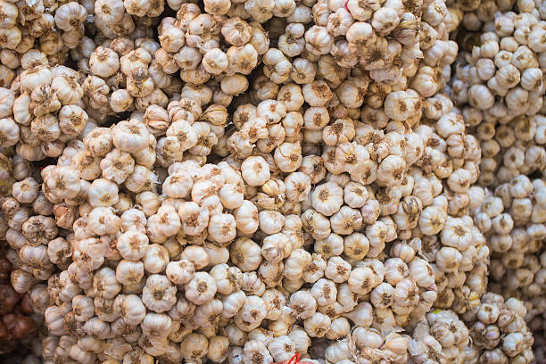 istock close up of garlic 485493593