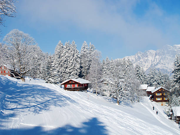 istock Winter in the alps 485494030