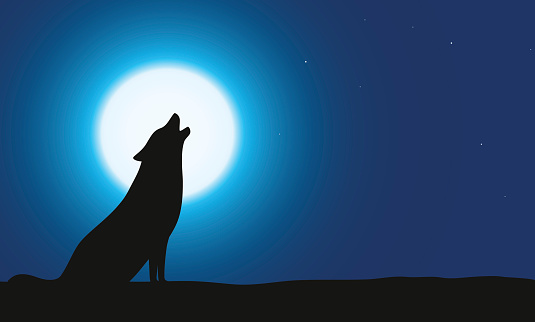 Wolf sitting and roaring on the ground, Background is moon