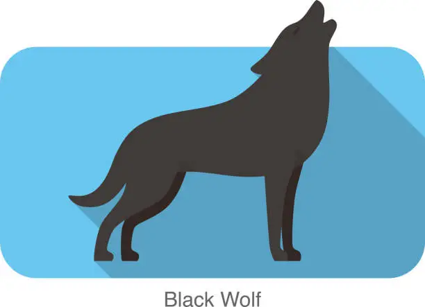 Vector illustration of Black wolf standing and roaring