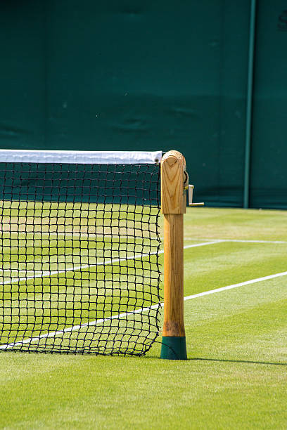 istock Grass Tennis Court 485494706