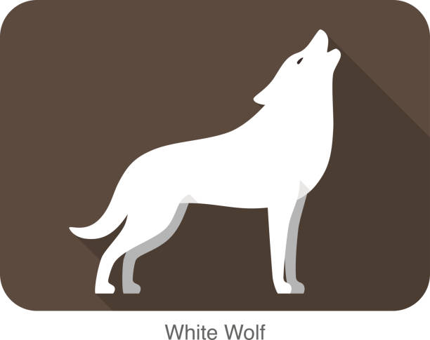 인명별 wolf 입석 및 으르렁거리다 - wolf mascot vector gray wolf stock illustrations