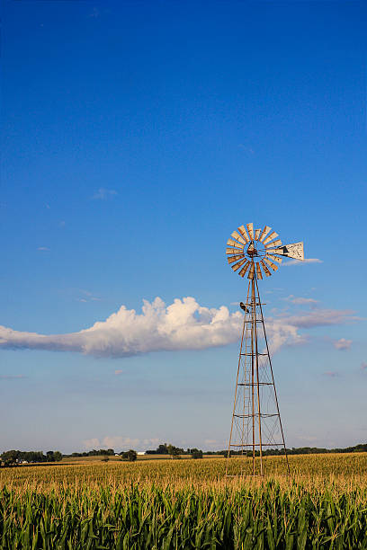 istock Windmill Graces Northeast Iowa Cornfield 485497672