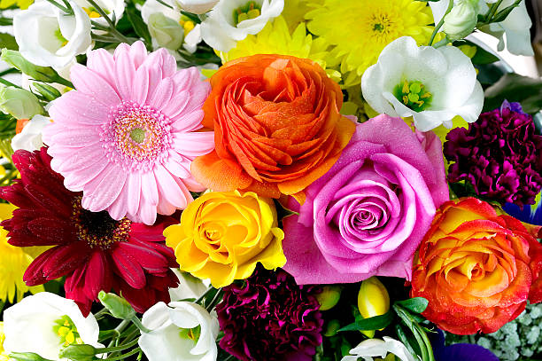 Roses, daisies, and lots of other perfect high end flowers in high resolution. Perfect for a florist or 'get well soon' 