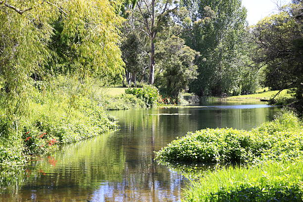 istock Amazing sunny scenery with water and greenery. 485498986