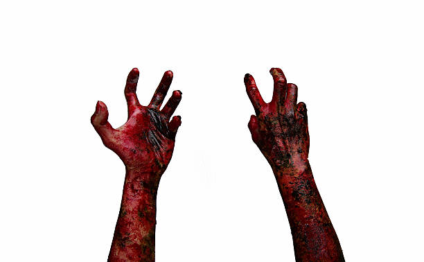 istock Bloody hands on a white background, zombie 485500570