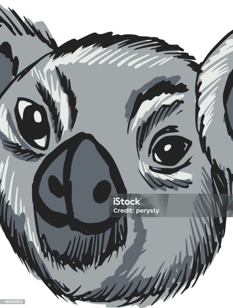 head of koala hand drawn, sketch, cartoon illustration of koala Animal stock vector