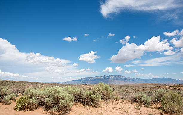 istock Southwestern Landscape with Sandia Mountains 485503802