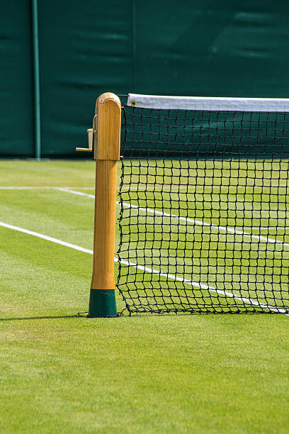 istock Grass Tennis Court 485504292