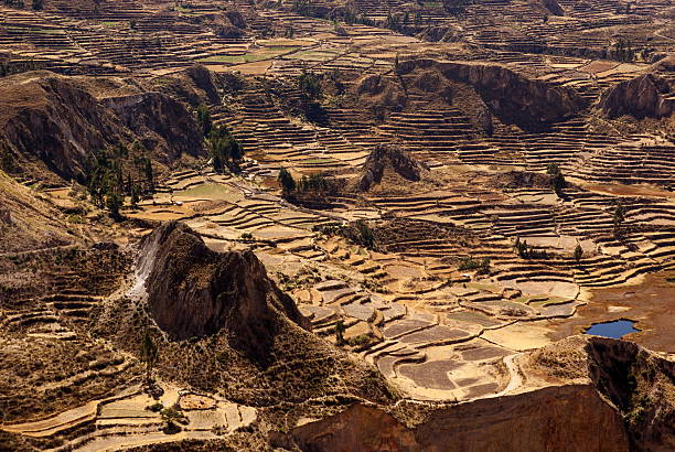 Colca Canyon, the deepest canyons in the world, Peru stock photo