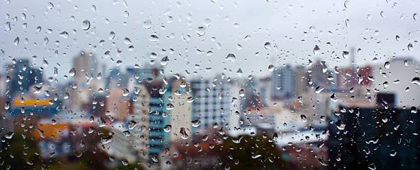 istock Auckland CBD New Zealand 485506096