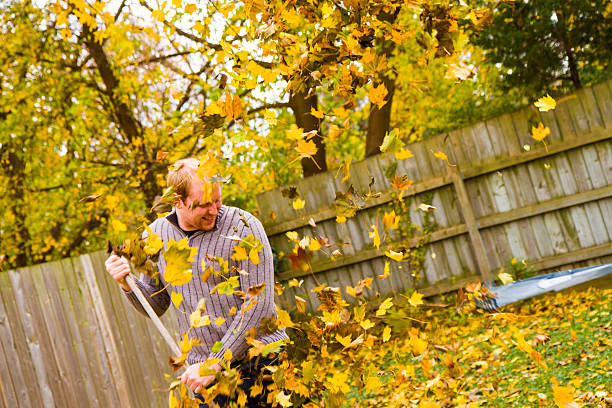 istock Young Couple Playing In Leaves While Raking The Yard 485506246