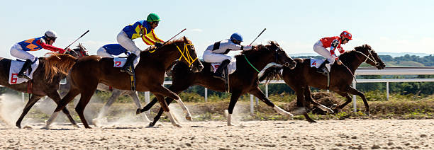 Horse racing in Pyatigorsk Race for the prize of the "OKS" in Pyatigorsk,Northern Caucasus, Russia. thoroughbred horse stock pictures, royalty-free photos & images